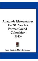 Anatomie Elementaire