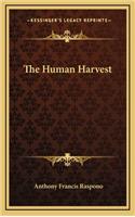The Human Harvest