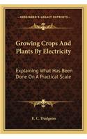 Growing Crops and Plants by Electricity: Explaining What Has Been Done on a Practical Scale