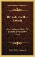 Seele Und Ihre Zukunft