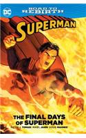 Superman: The Final Days of Superman