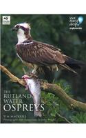 The Rutland Water Ospreys