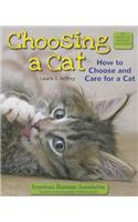 Choosing a Cat