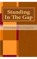 Standing In The Gap