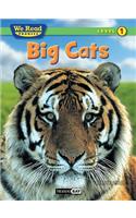 Big Cats
