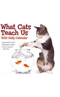 What Cats Teach Us Daily Calendar