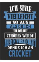 Ich sehe vielleicht so aus als ob ich dir zuhören würde aber in Wirklichkeit denke ich an Cricket