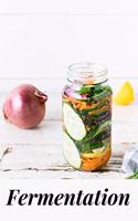 Fermentation