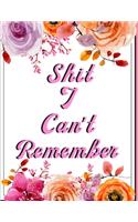 Shit I Can't Remember