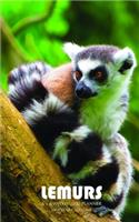 Lemurs 5 x 8 Weekly 2020 Planner: One Year Calendar
