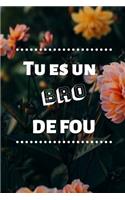 Tu es un bro de fou