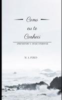 Como eu te Conheci: Aprendendo a amar e perdoar