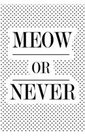 Meow or Never