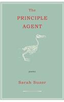 Principle Agent