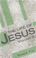 The Life of Jesus - Volume 3