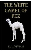 White Camel of Fez: A Captivating Adventure in Ancient Morocco