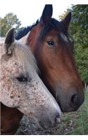 Two Friendly Horses Journal: 150 Page Lined Notebook/Diary