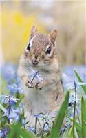 Chipmunk with a Flower - Lined Notebook with Margins - 5Narrow: 101 Pages, 5 x 8, Narrow Ruled, Journal, Soft Cover