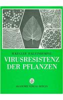 Zucker- und Futterruben