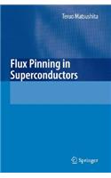 Flux Pinning in Superconductors