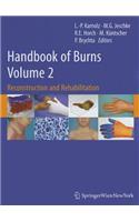 Handbook of Burns, Volume 2