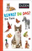 Duden - Kennst du das?