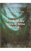 The Bobbsey Twins at Snow Lodge