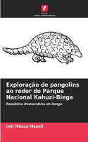Exploração de pangolins ao redor do Parque Nacional Kahuzi-Biega