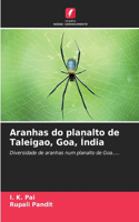 Aranhas do planalto de Taleigao, Goa, Índia