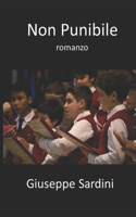 Non Punibile: romanzo