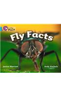 Fly Facts Workbook