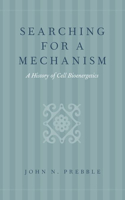 Searching for a Mechanism