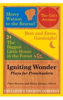 Igniting Wonder