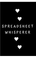 Spreadsheet Whisperer