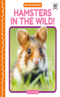 Hamsters in the Wild!: (Pets in the Wild!)