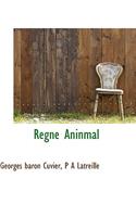 Regne Aninmal