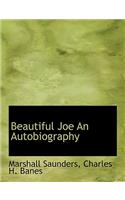 Beautiful Joe an Autobiography