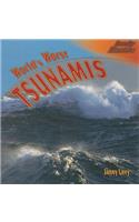 World's Worst Tsunamis: (Deadly Disasters)