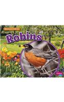 Robins