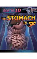 The Stomach in 3D