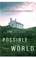 The Possible World