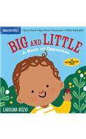 Indestructibles: Big and Little: A Book of Opposites: Chew Proof - Rip Proof - Nontoxic - 100% Washable (Book for Babies, Newborn Books, Safe to Chew)(Indestructibles)