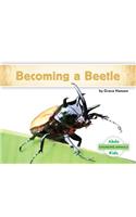 Becoming a Beetle: (Changing Animals)