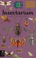 Insectarium: Welcome to the Museum