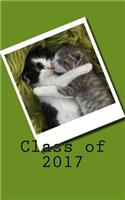Class of 2017: (Blank Journals, Diary, Notebook)