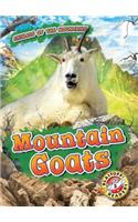 Mountain Goats