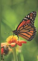 Butterfly Journal: Blank Notepad to Record Your Thoughts