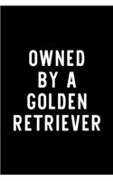 Owned By A Golden Retriever