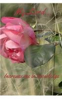Lord Increase Me In Knowledge