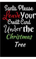 Santa Please Leave Your Credit Card Under The Christmas Tree
